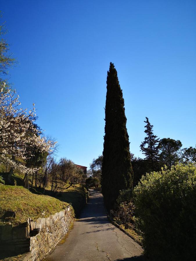 Villa La Vivagna - Casa Vista Mare Tra Gli Ulivi à Leivi Extérieur photo