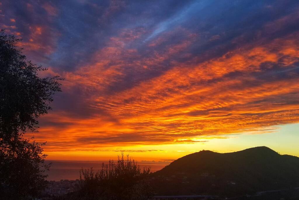 Villa La Vivagna - Casa Vista Mare Tra Gli Ulivi à Leivi Extérieur photo