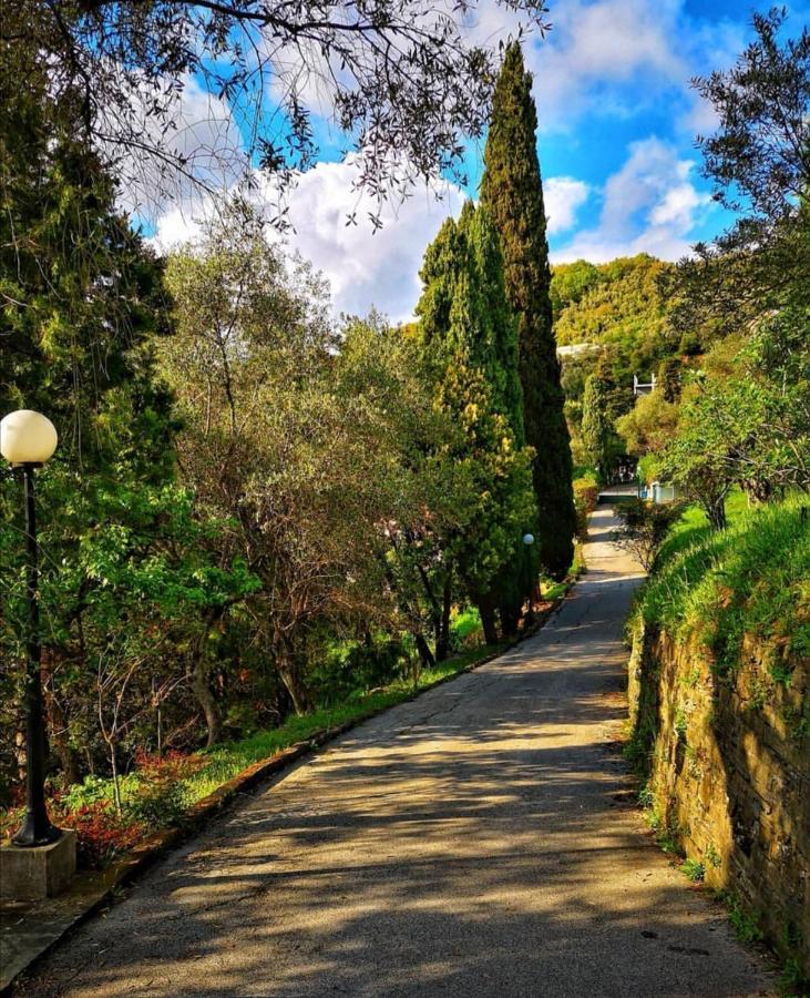 Villa La Vivagna - Casa Vista Mare Tra Gli Ulivi à Leivi Extérieur photo