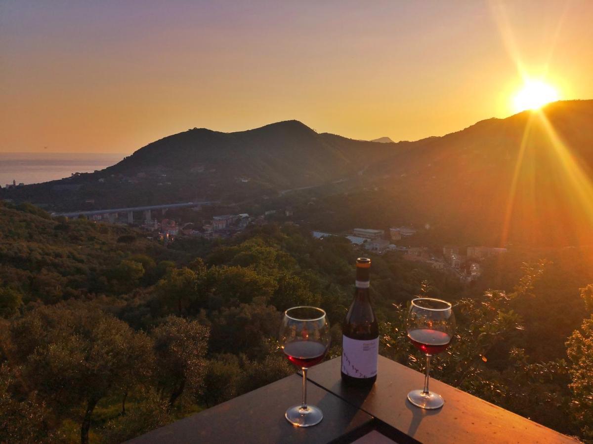 Villa La Vivagna - Casa Vista Mare Tra Gli Ulivi à Leivi Extérieur photo